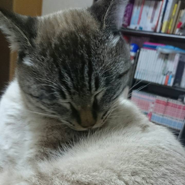 9bfb42ac 03c1 4fe4 9cc4 42bd363f7ab1