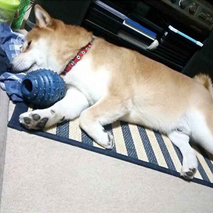 9bfbe977 f39d 40c3 ac97 6bd6fa5f8fd3