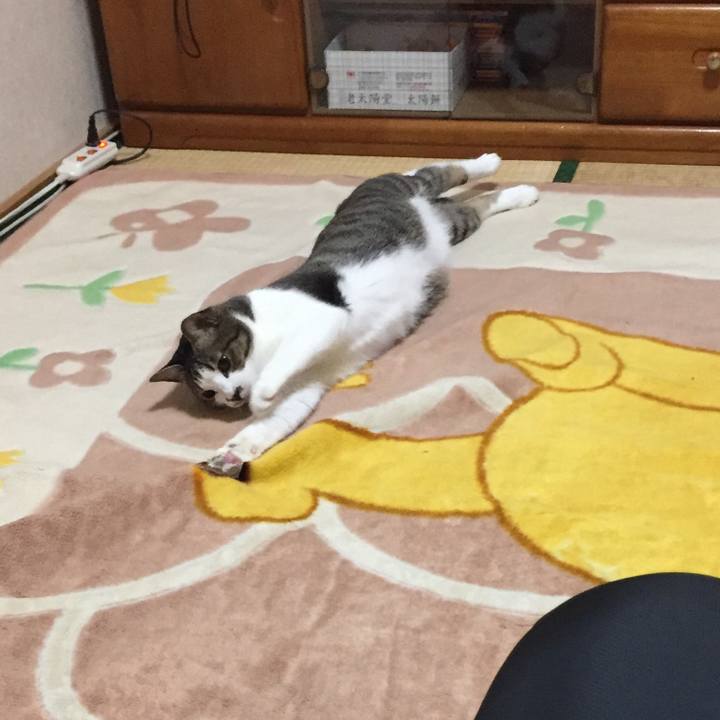 9bfd2456 84cc 4eef 98cd a3dda55dd3cf