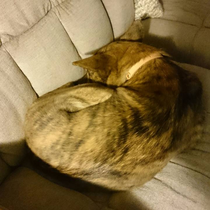 9bfd605c 7a17 4724 b6de fc6f0ab656d1