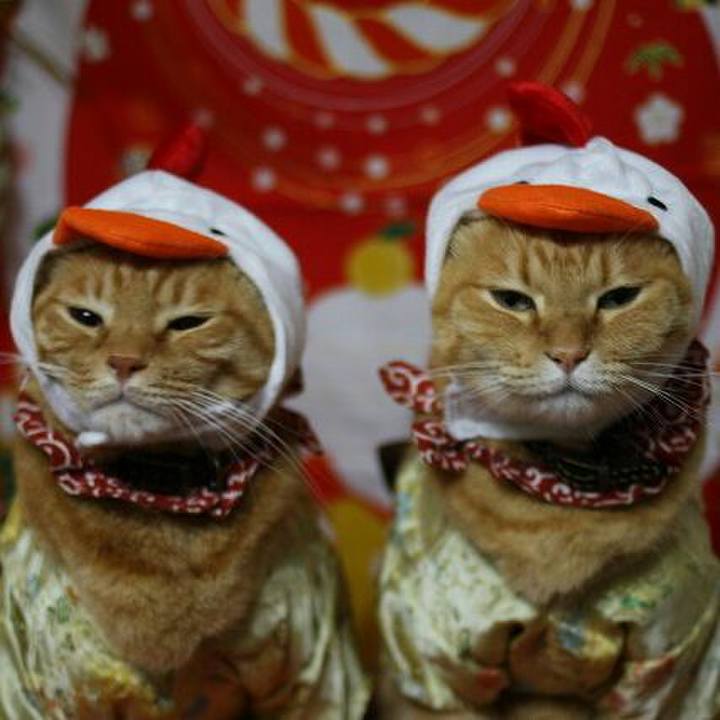 9bfd7d3c 310a 4327 abba 67d328039d73