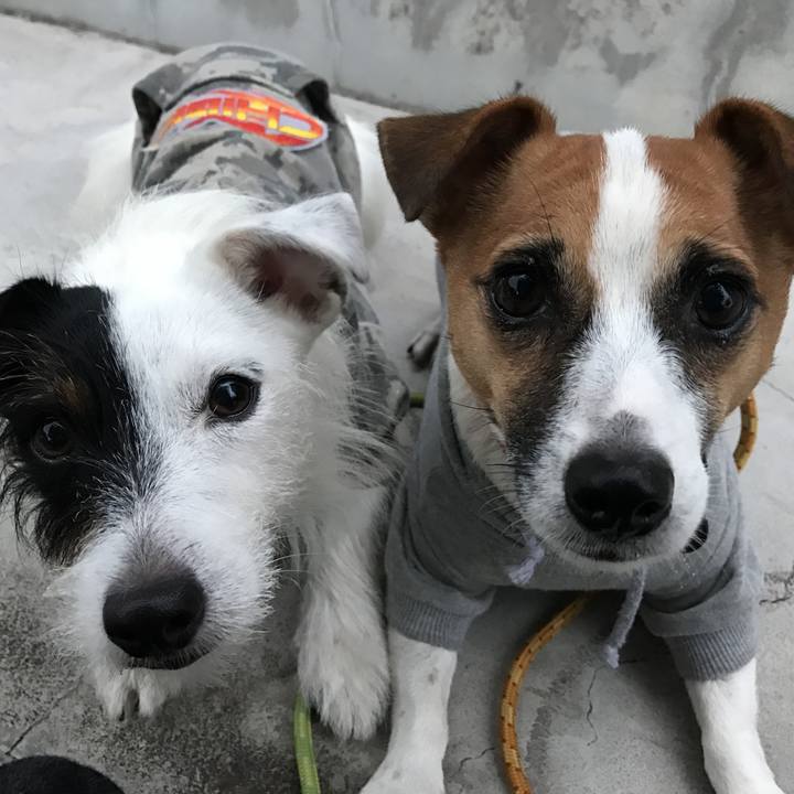 9bfd9dc8 85b0 4b90 85bb 70ce2e59cec3