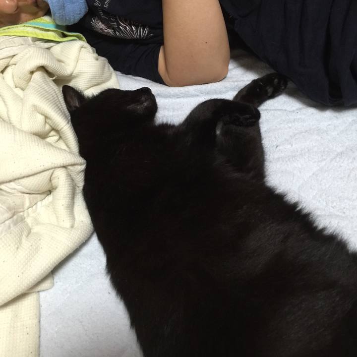 9bfdb210 f695 4a8e ada3 9adb8f355d2d