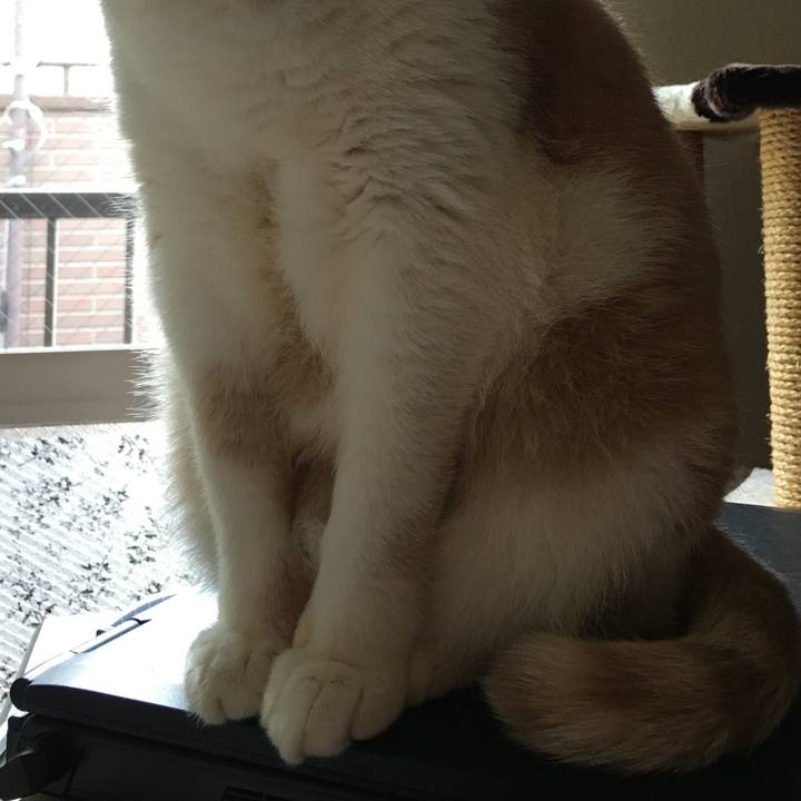 9bfdc857 af9a 42d0 bcd2 eca81423f04d