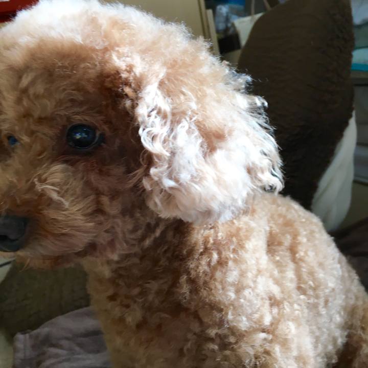 9bfee93f 0066 4b54 95b5 8c9834475df4