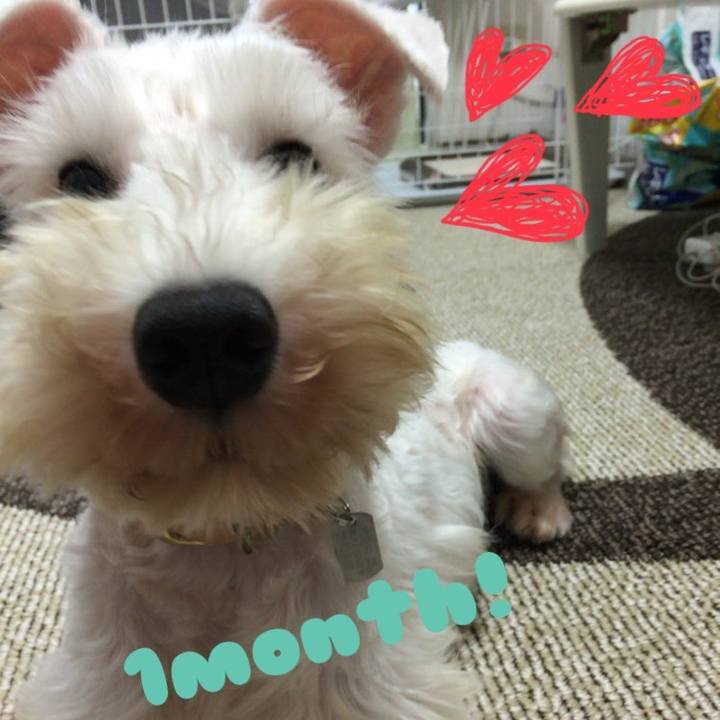 9bffc28a a3cb 4123 aa65 4f3a23e575a1