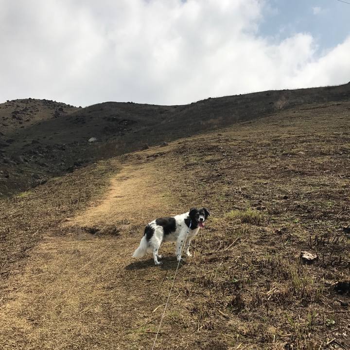 9bffe06c d3c8 424b 966e c1b70e2671a3