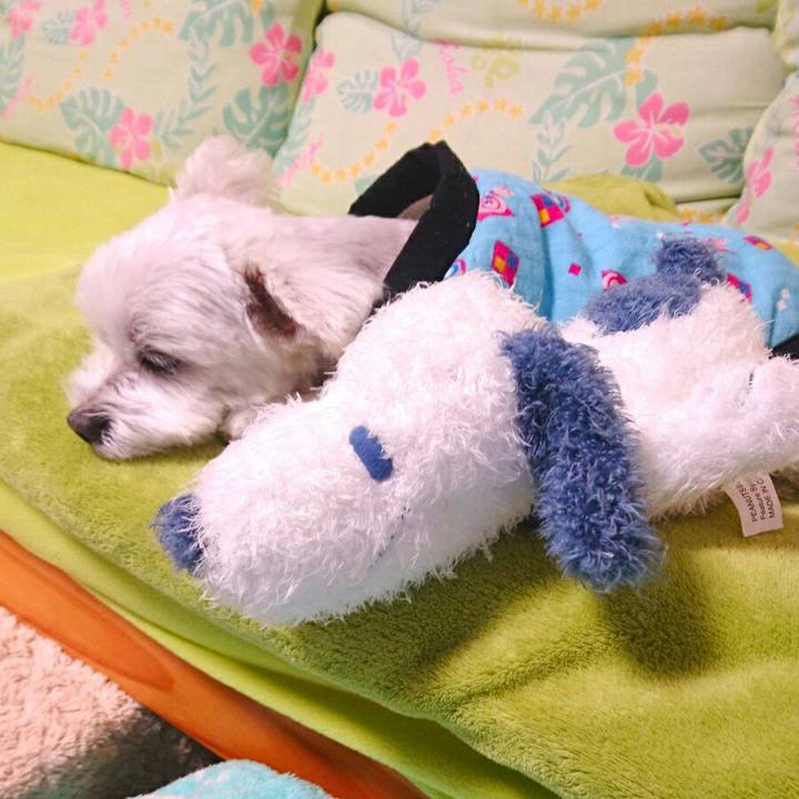 9bffec1c 4c2f 4bcd 904b 3093999f7349