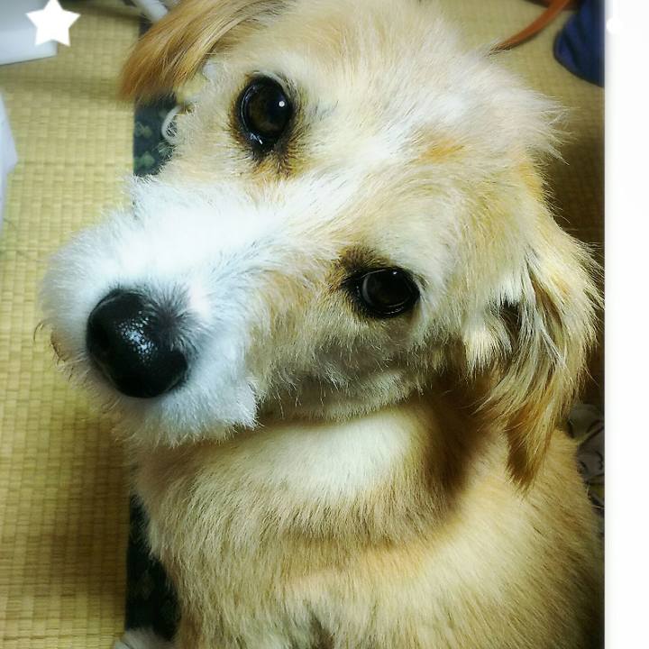 9c0117db c99d 48bd 9dd8 390c7ab42a8a