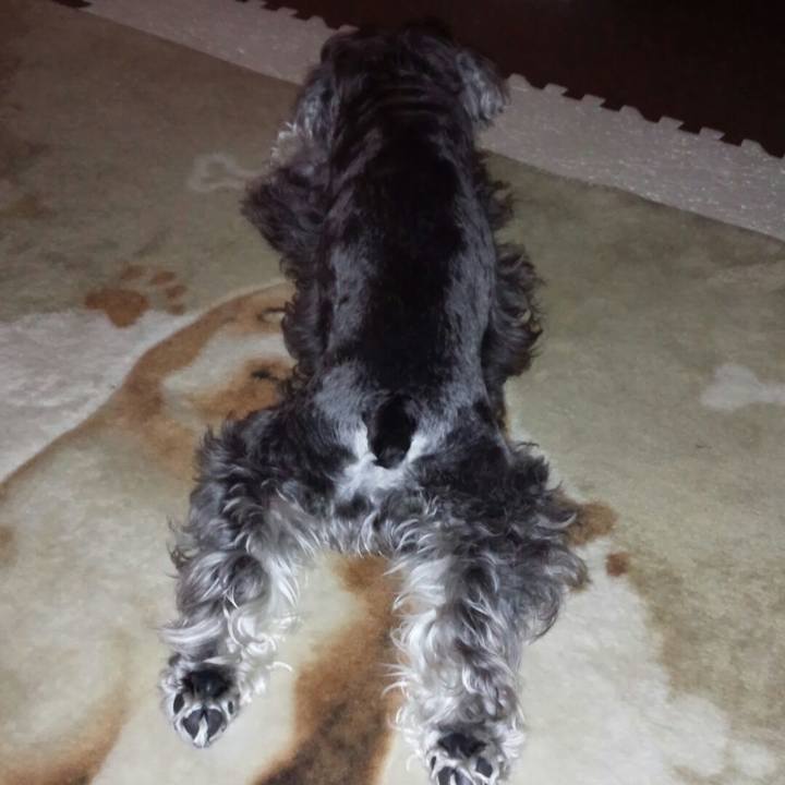 9c012dc3 21ab 4784 958e 333ce4437f3c