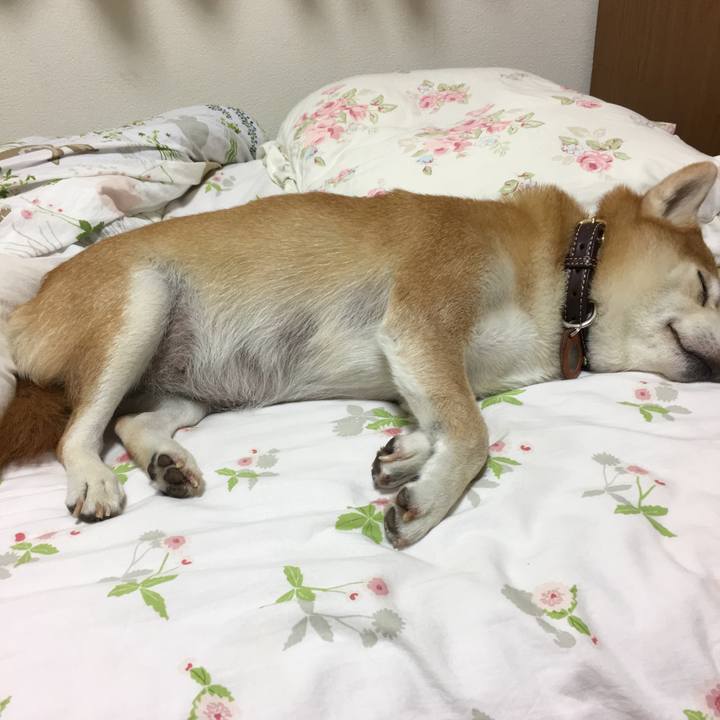 9c01389c b86d 4726 a8e4 38ec0e52233c