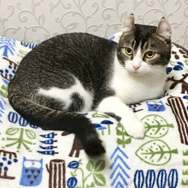 9c0140a8 90f3 431e 9bf3 adae4c29ff8c