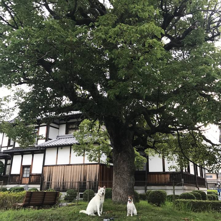 9c021e47 55a0 42a2 b632 1c272557fa55