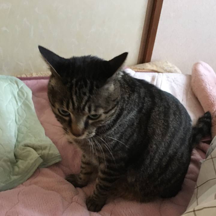 9c02b142 ac17 49df bed4 e3410c5cdcf6