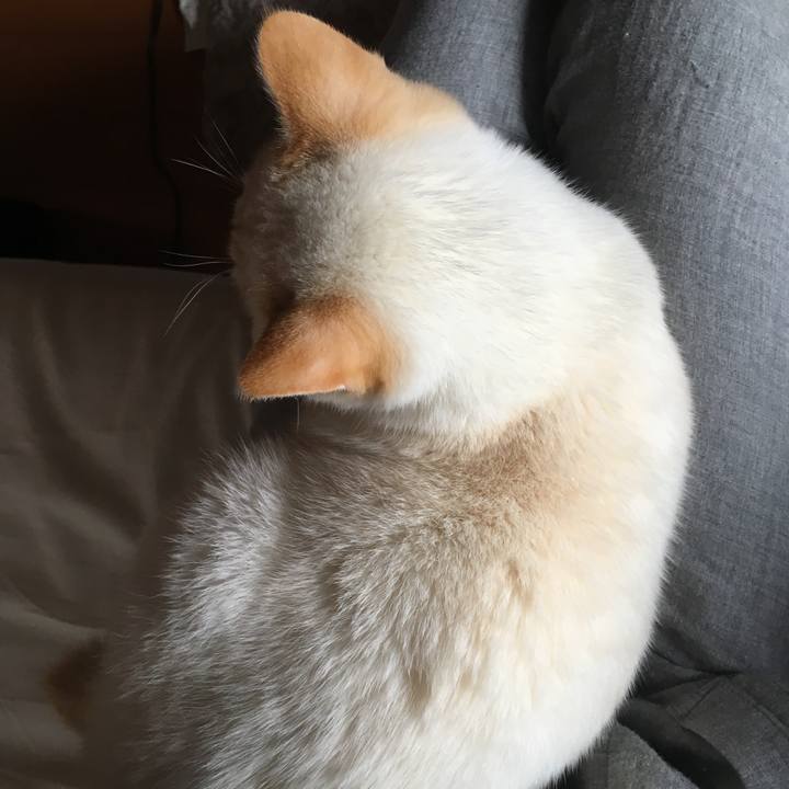 9c0318b7 41be 42f7 ab6c 5d124e84c843