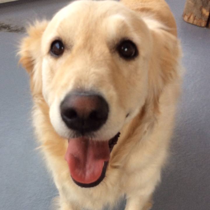 9c032a58 2046 4022 8f35 636cc243b88a