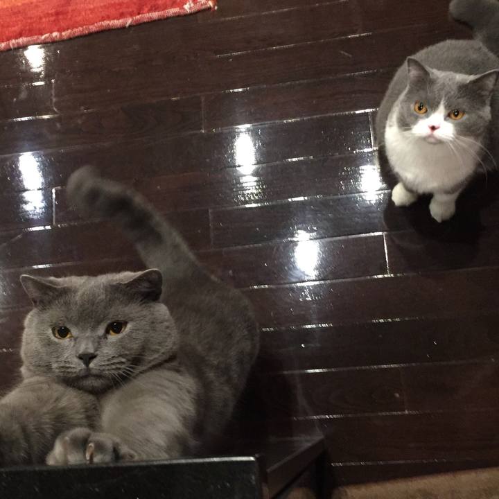 9c034ec0 ee42 432f 8b9c 51aa33168175