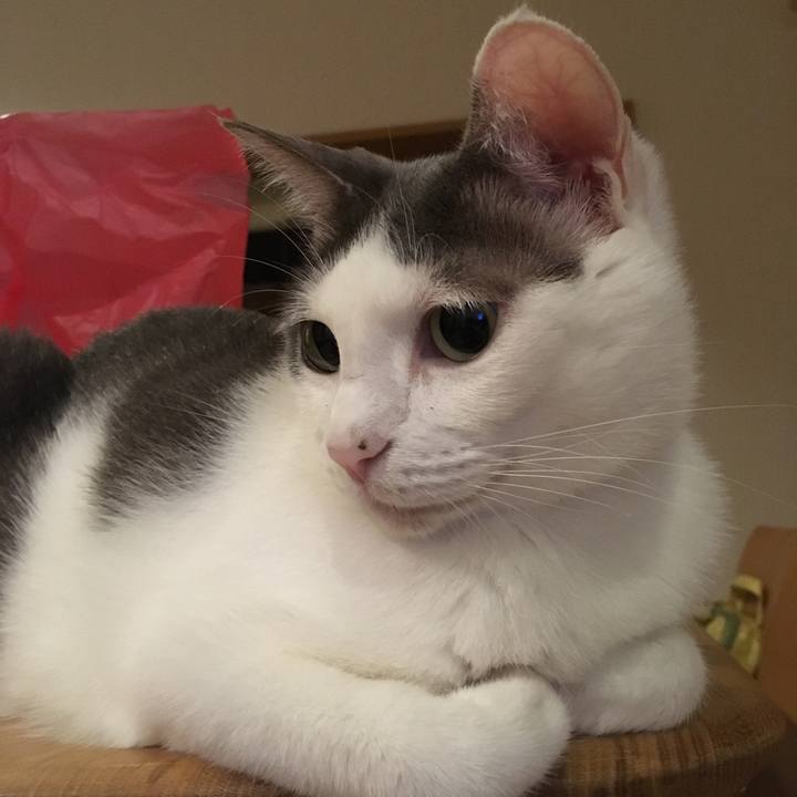 9c03761c 49c3 4c9b a892 ab9a4e1ab848