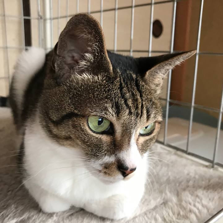 9c044f0c 6558 489e beb6 8a704a449e8b