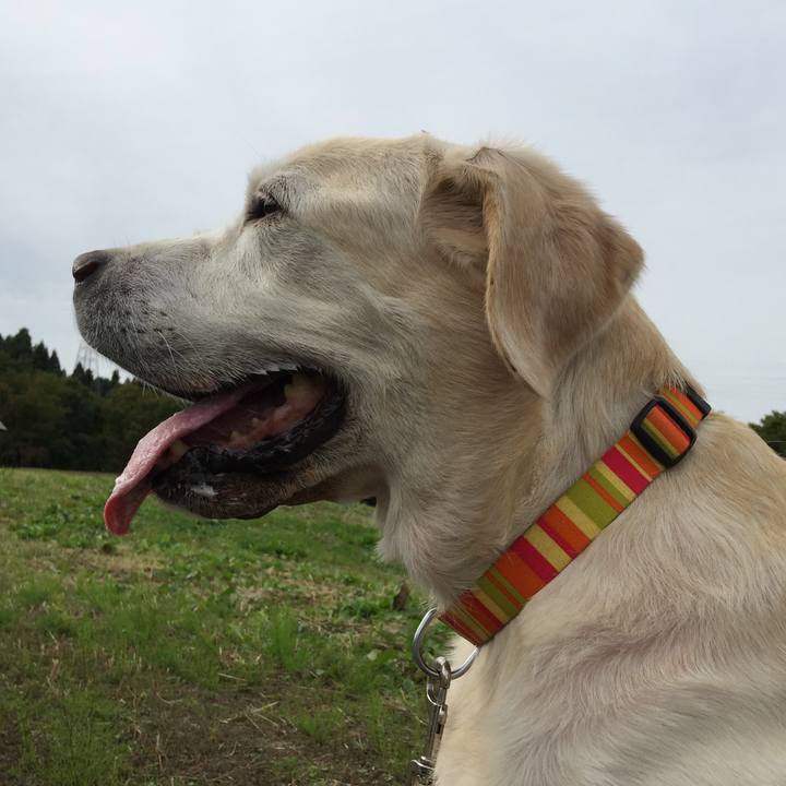 9c05311e 2940 4a21 a039 67a000a5c15d