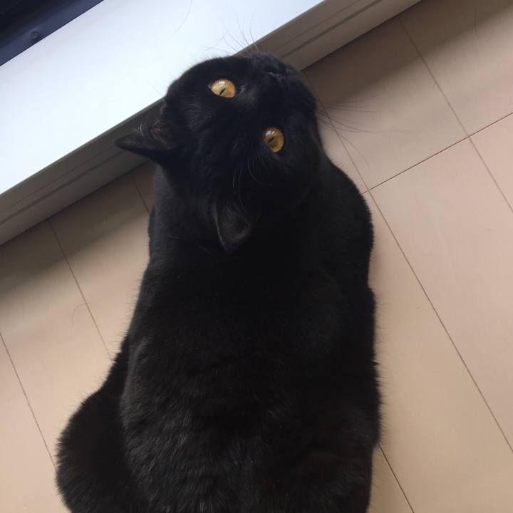 9c05e302 a811 4919 8f22 ebdb83ed9575