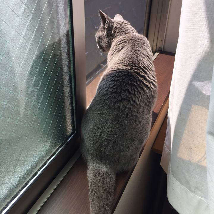 9c0644d6 ea05 49db 8c0d e9eeb54056cf