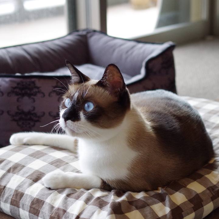 9c070f42 e090 4f16 8dc0 0854a85571cd