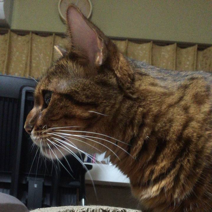 9c07832f bf95 423b 897d e30dddc37f3d