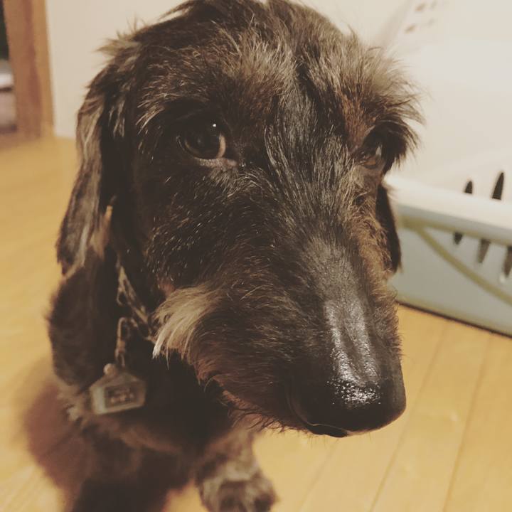 9c07d9d1 47f5 43e7 ae6b b43c269c423f