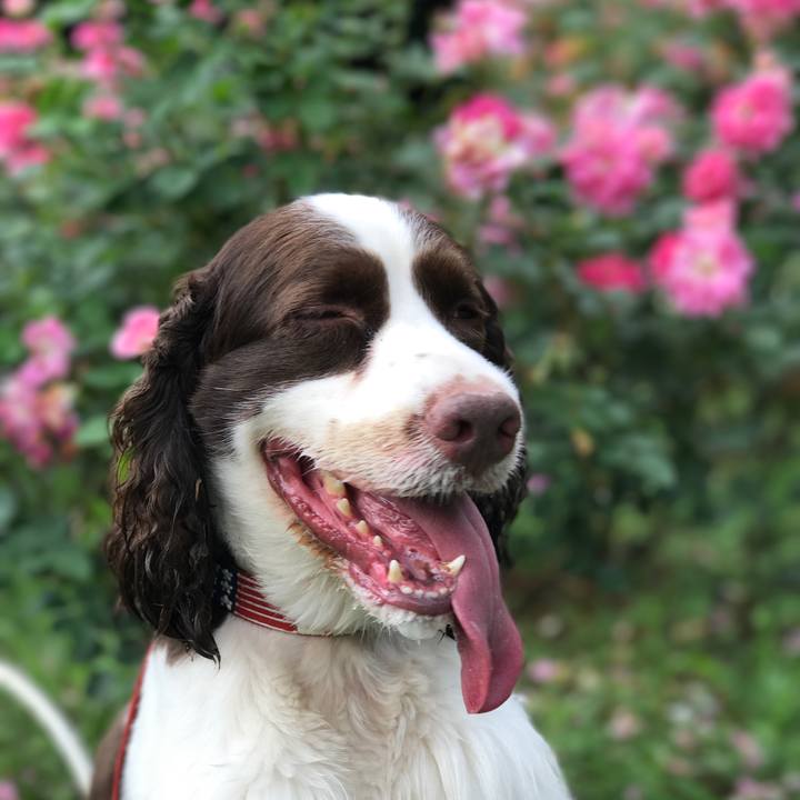 9c07fdf2 be24 44ae ba5f 5b08ab68e7ee