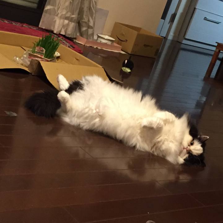 9c081a84 a7b7 417e b06b 5125daa032a7