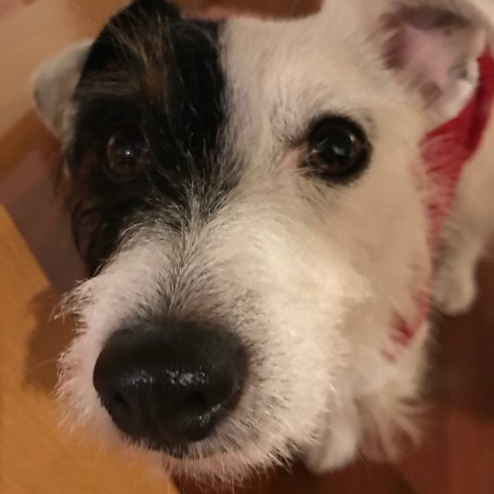 9c084f8f ff92 429f bf5d 473015f5aecc