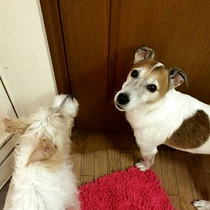 9c086cdf 8d9b 4c12 9944 5bb602d0a6c6