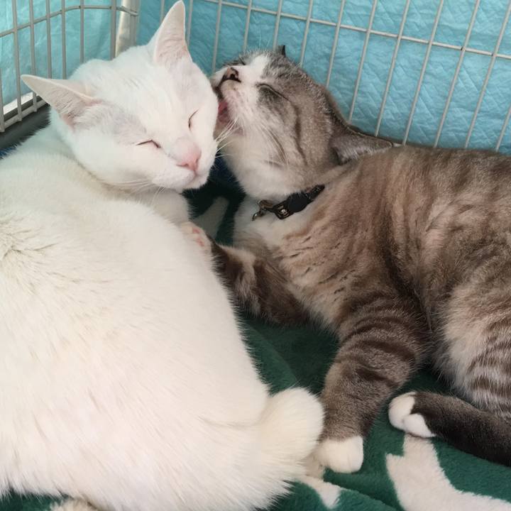 9c08cd60 21ef 4802 8c92 8a72d7676a9a