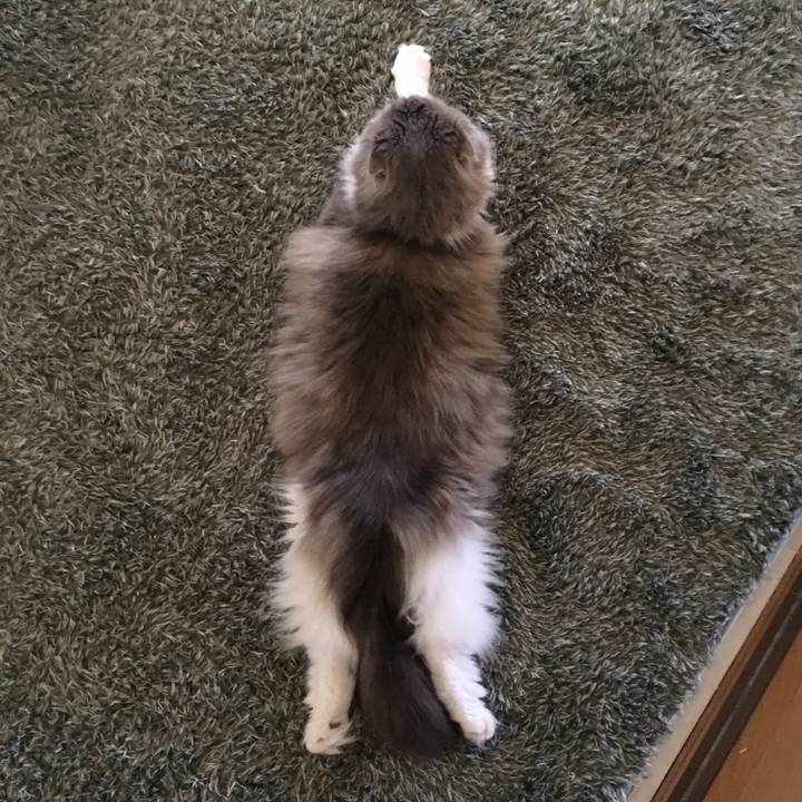 9c09a34c e7d4 4056 bdfe e16926015795