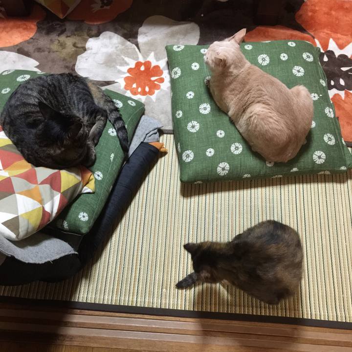 9c0a02fd 0c9e 4db8 88d4 168844acf7fa