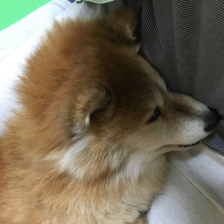 9c0a1b03 b11f 41de ac99 54322996cc31