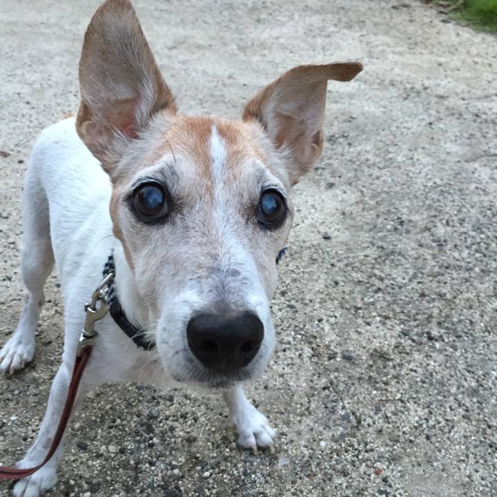 9c0a706b 7a70 4f24 a765 841e86776e44