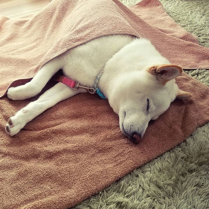 9c0a7e8d 49fb 4094 ac2b fe98903e35ee