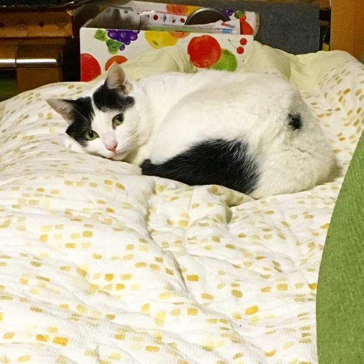 9c0c7ad4 69e5 4d16 9145 d0afdfc018db