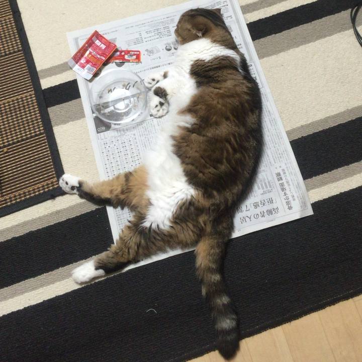 9c0c8c9e c131 4fef a1eb 6bf5e0cef516