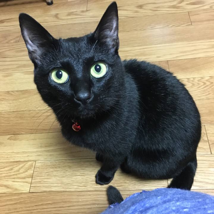 9c0cc1db 85a3 4ffb 864d d624fe2485ba