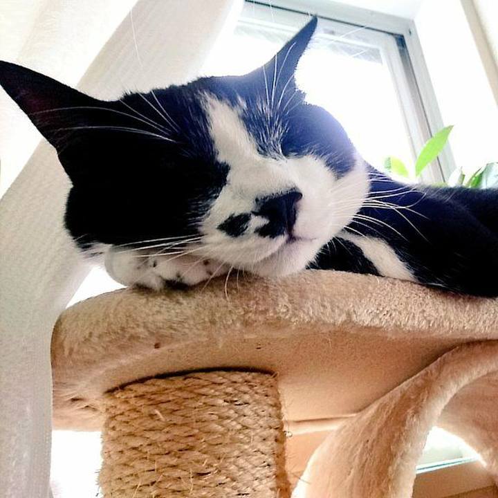 9c0d0b6b e91b 4b85 84a6 9ed3a2de43d1