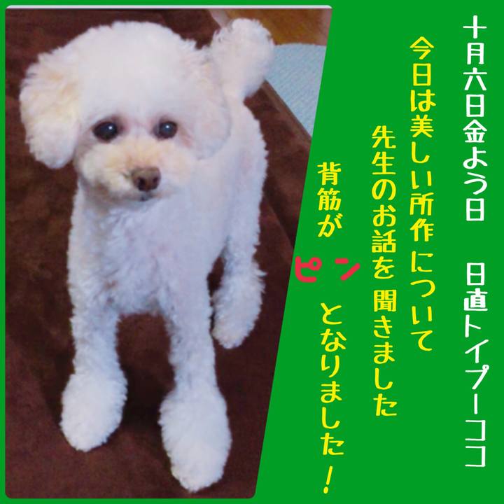 9c0df2ac 9159 4c6d 89ac 88dd48f0c53d