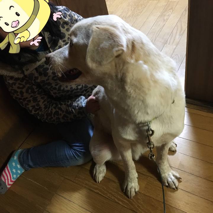 9c0ec42a d483 49d0 bb92 514584247511