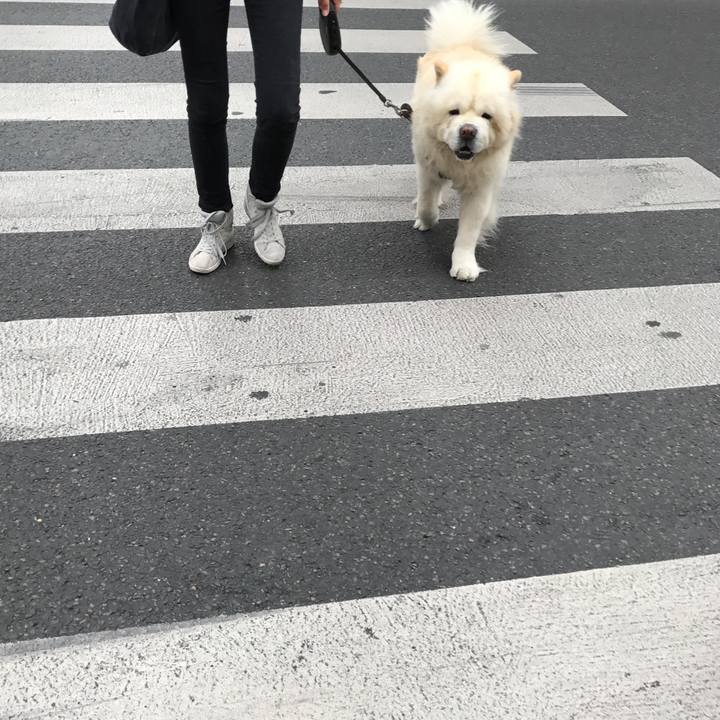 9c0ec5cf f8bb 44de 80c6 4285450e6023