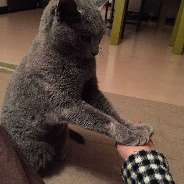 9c0faf10 295d 47d2 825b 2f25bca5a25f