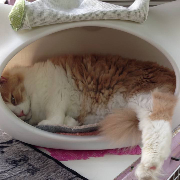 9c0fcb19 50df 4c04 a0da c804ef8cf916