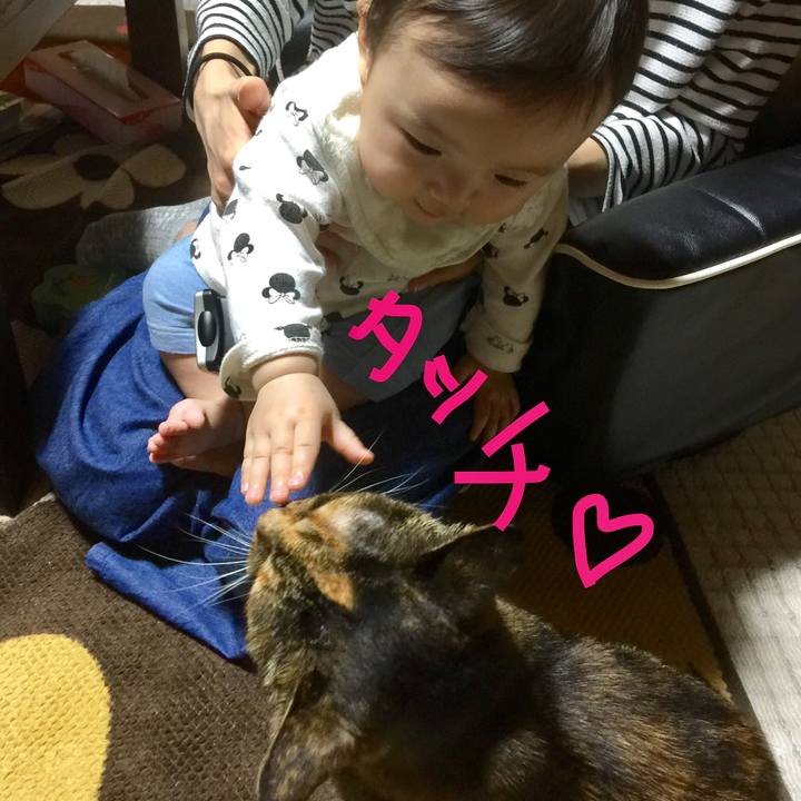 9c0fd463 c90b 4fdf afe9 c7dc0593de21