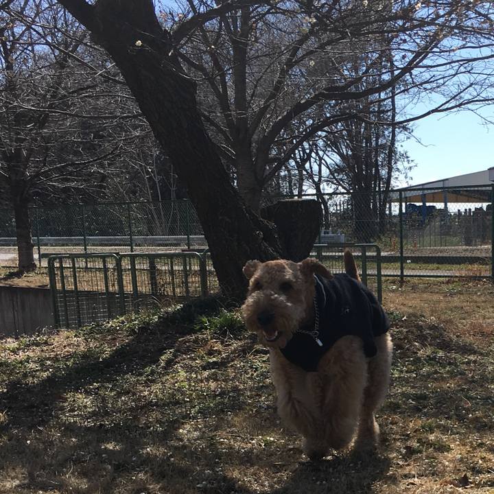 9c0ff556 5184 4af3 97d2 aacd7fac6ece